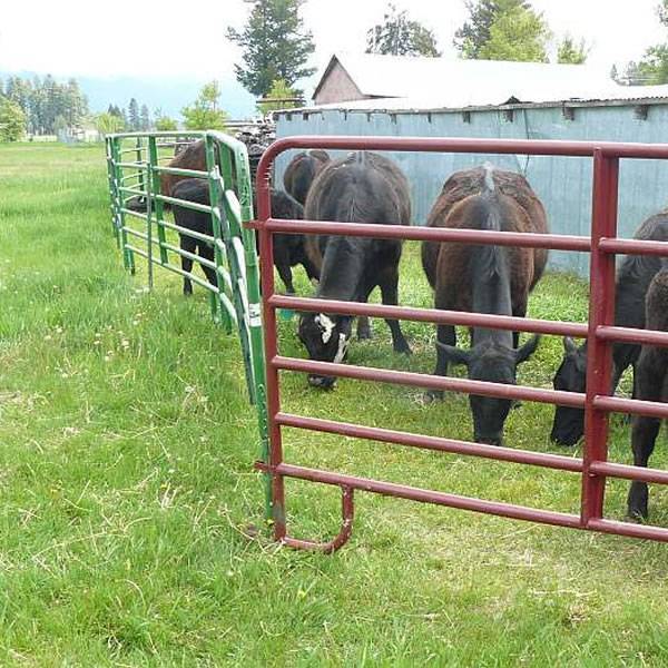 Cattle Fence Panels